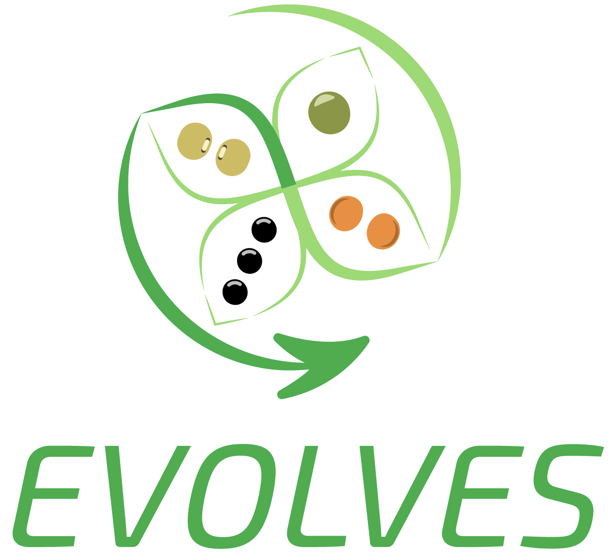 EVOLVES Logo